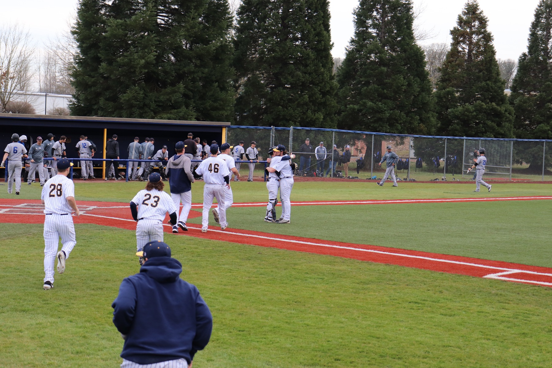 baseball wins