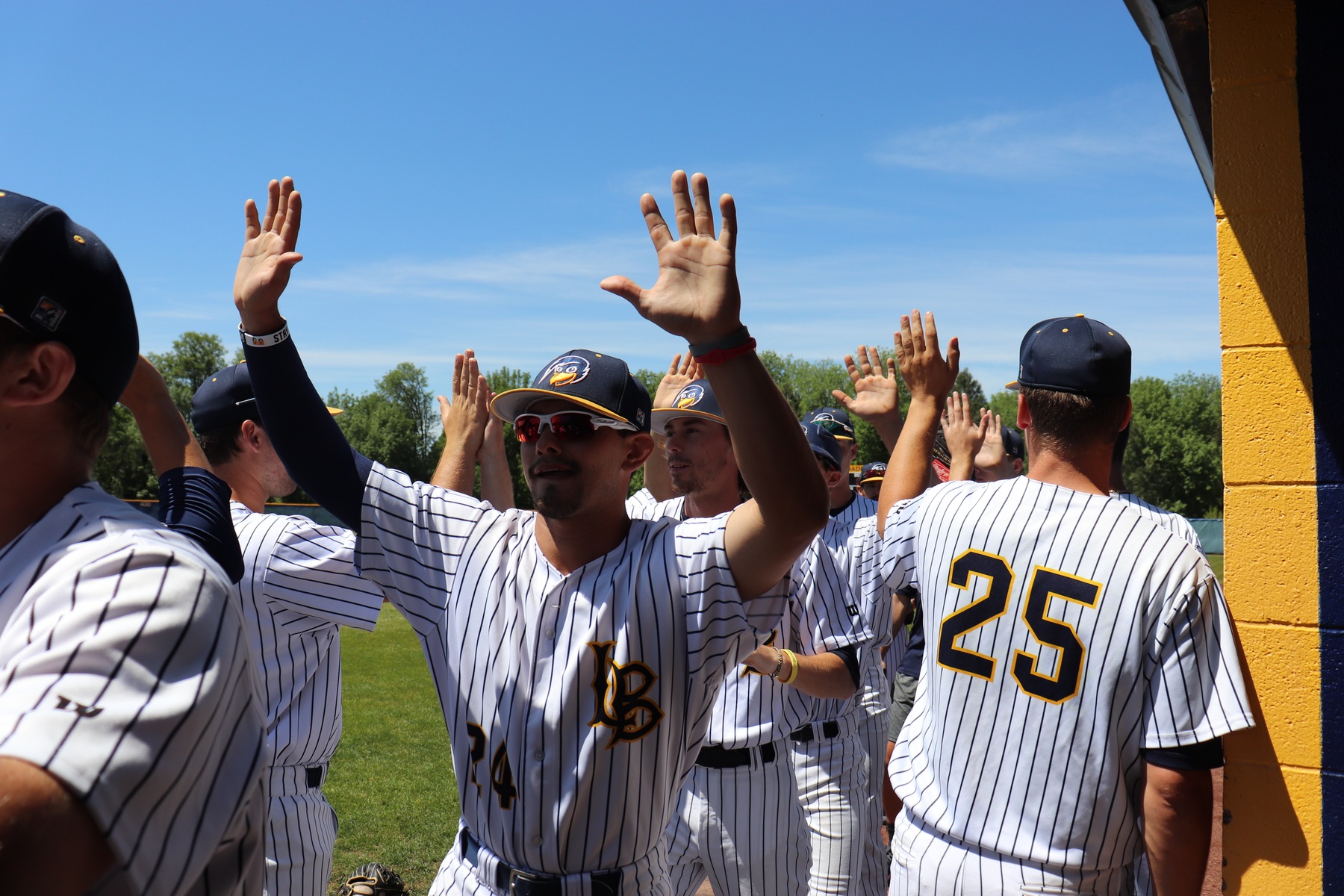 dugout celebration