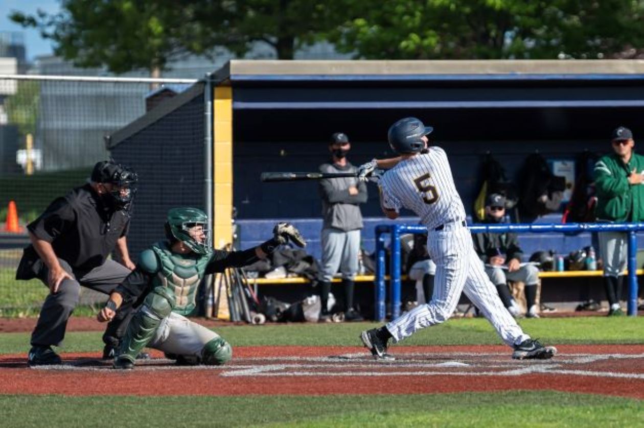 Hoskins swing