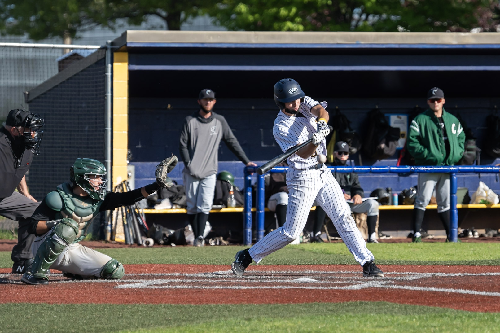 Dumitru Named to ABCA all-America 2nd Team