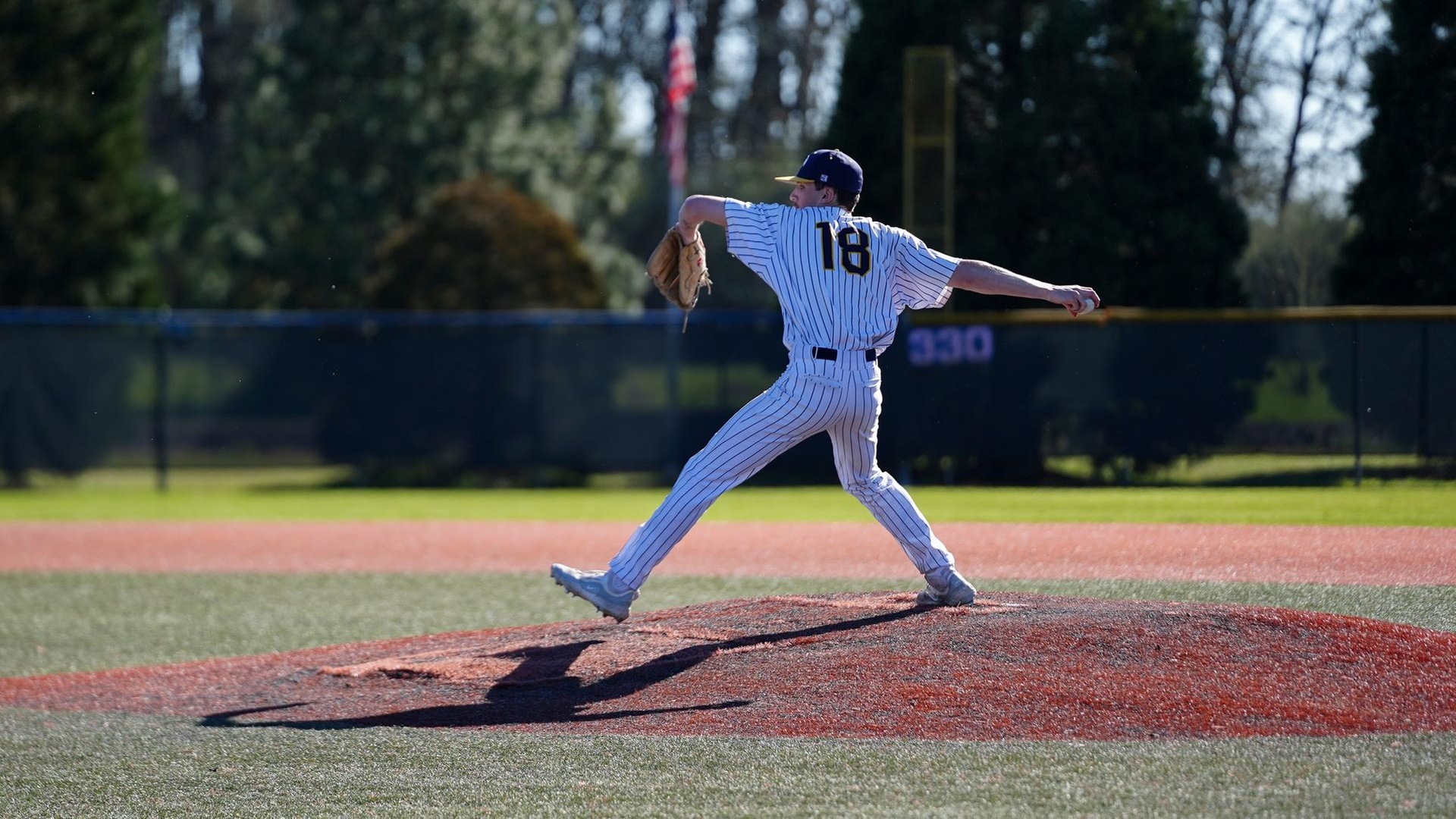 Ever Lamm pitches