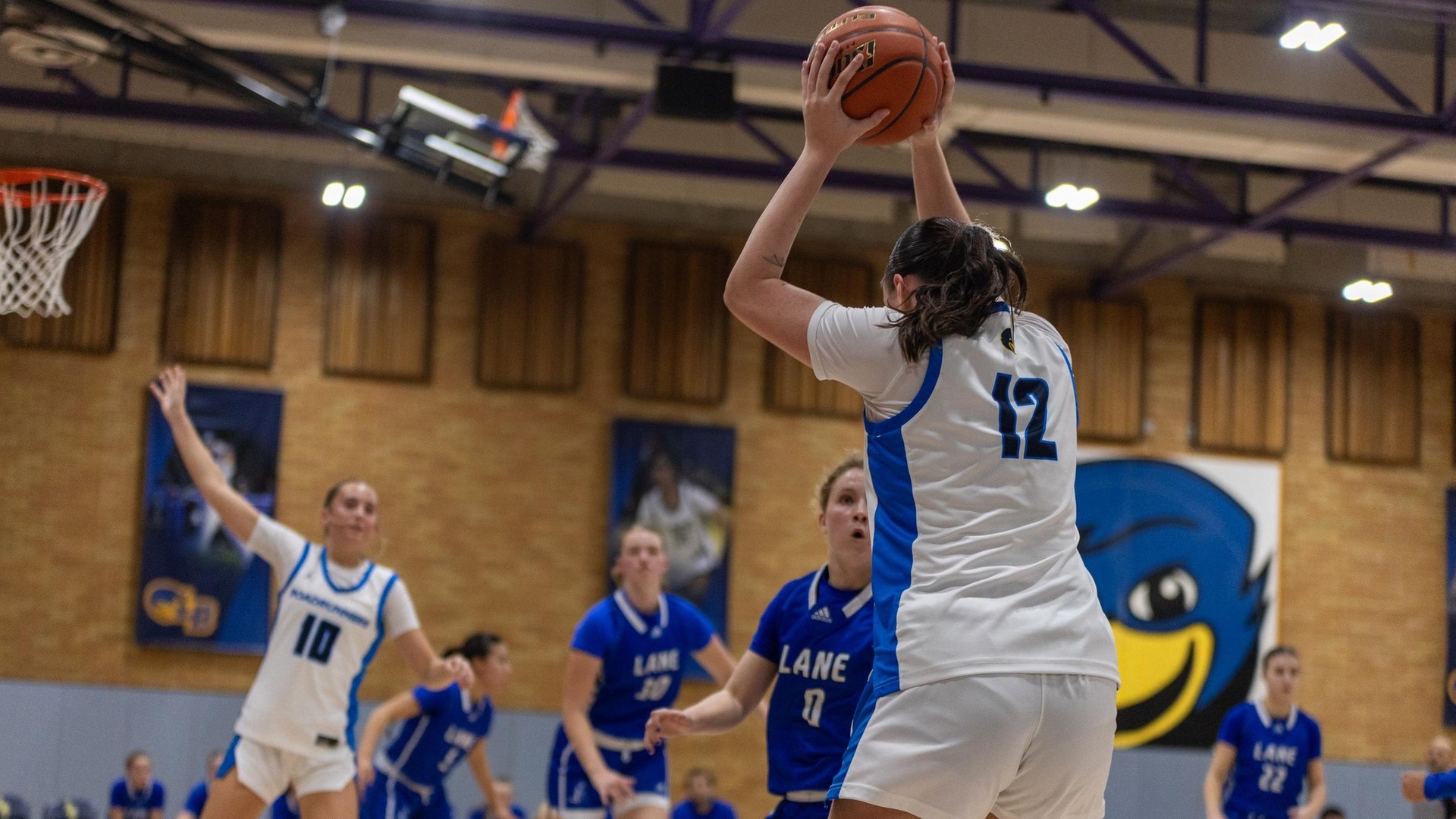 Linn-Benton dropped their road contest to Lane Community College. Photo Courtesy of Evan Lehnert, LBCC Athletics.