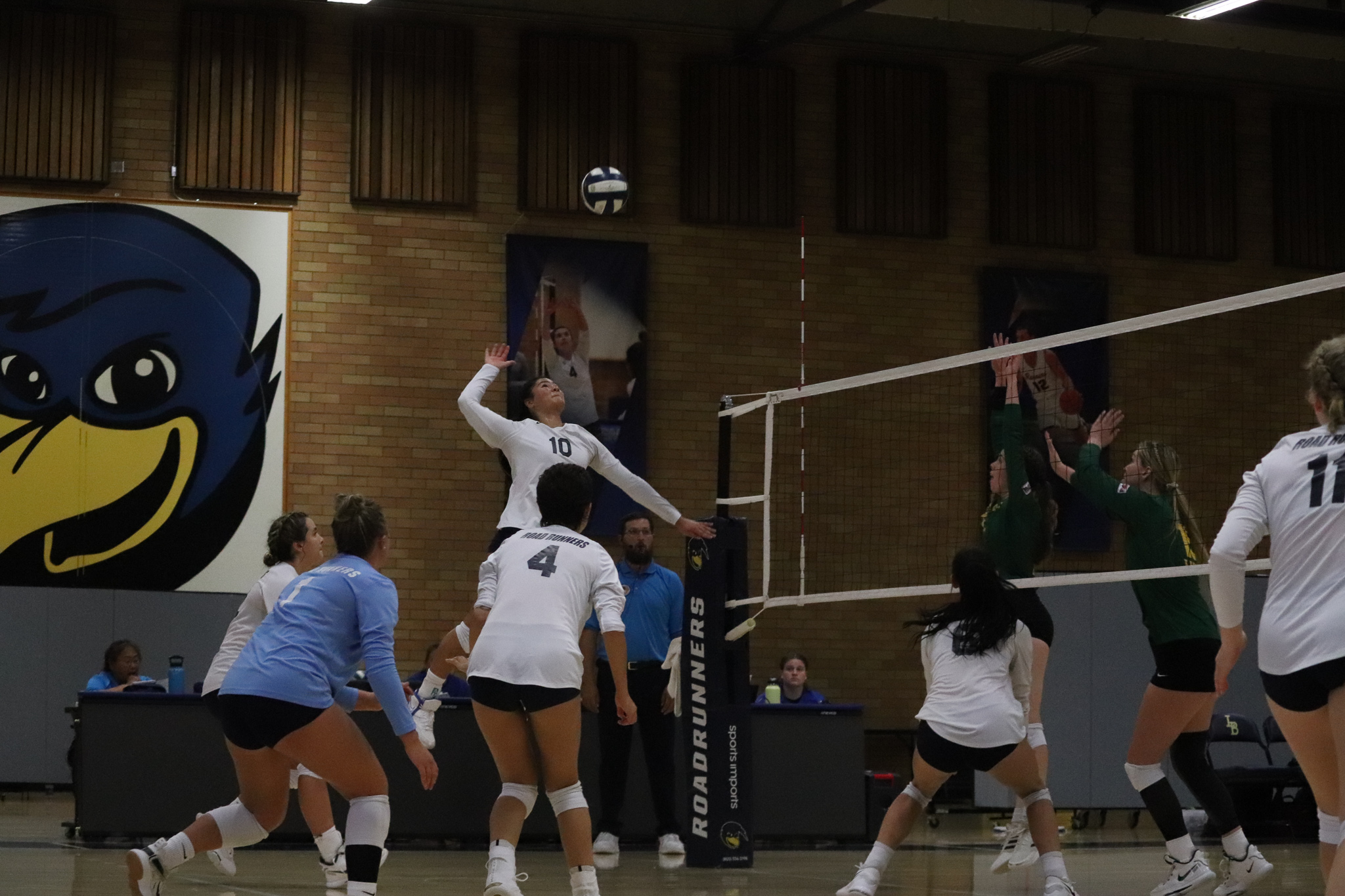 Roadrunners Strike Gold Against Treasure Valley
