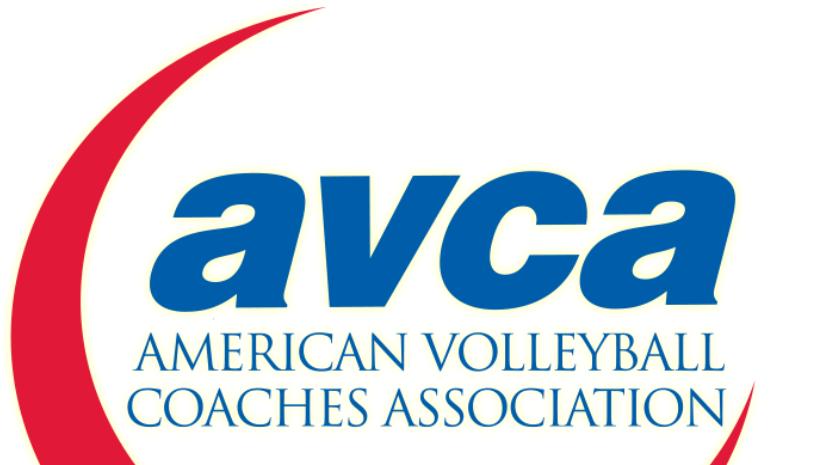 avca logo